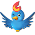 Come pubblicare automaticamente i post su Twitter con Feedburner.