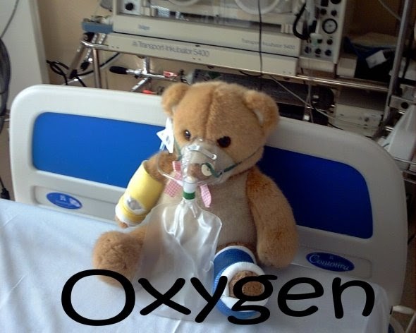 Daily Blog of Oxygen Pros and Cons of Oxygen