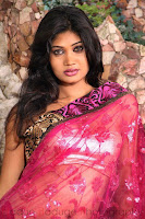 Charming Saree Collection For Parties