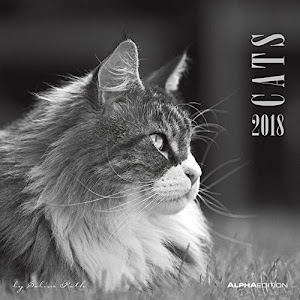 ©DeSCarGar. 'Calendario de pared"GATOS DE Sabine Rath 2018 30 x 30 cm Audio libro. por Alpha Edition