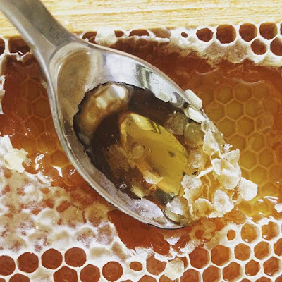 spoonful of honeycomb on frame