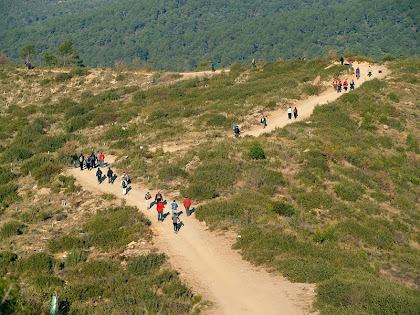 El Camí del Serrat del Maurici