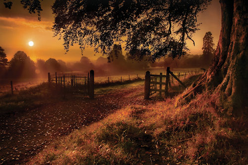 Amanecer en Otoño by Gary Mc Parland | clic para ampliar