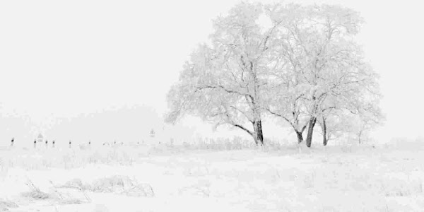 Beutifull Winter Images HD 4K Free Download