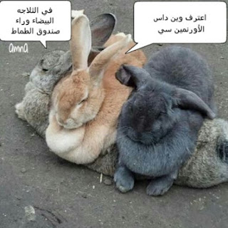 صور نكت مضحكة , صور مضحكة للفيسبوك , نكت مكتوبة علي صور تضحك