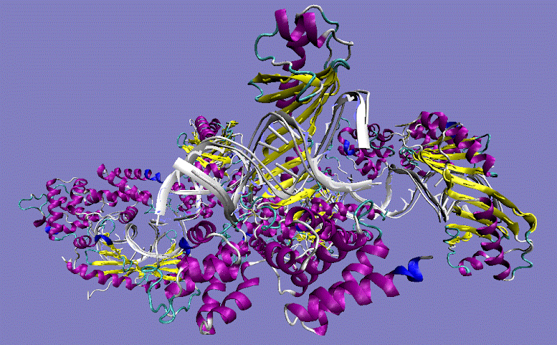 TBP TATA sequence-binding protein-containing complex TFIID