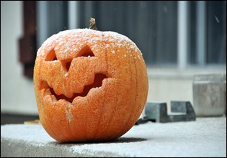 11Nov7pumpkin