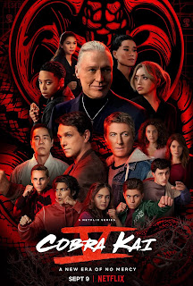 Download Cobra Kai (S05) Dual Audio Complete Download 720p WEBRip