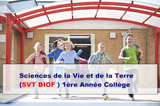 Sciences de la Vie et de la Terre (SVT BIOF ) 1ère Année Collège 