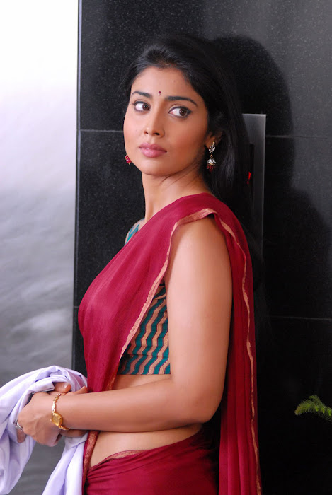 shirya saran from nuvva nena movie, shirya photo gallery