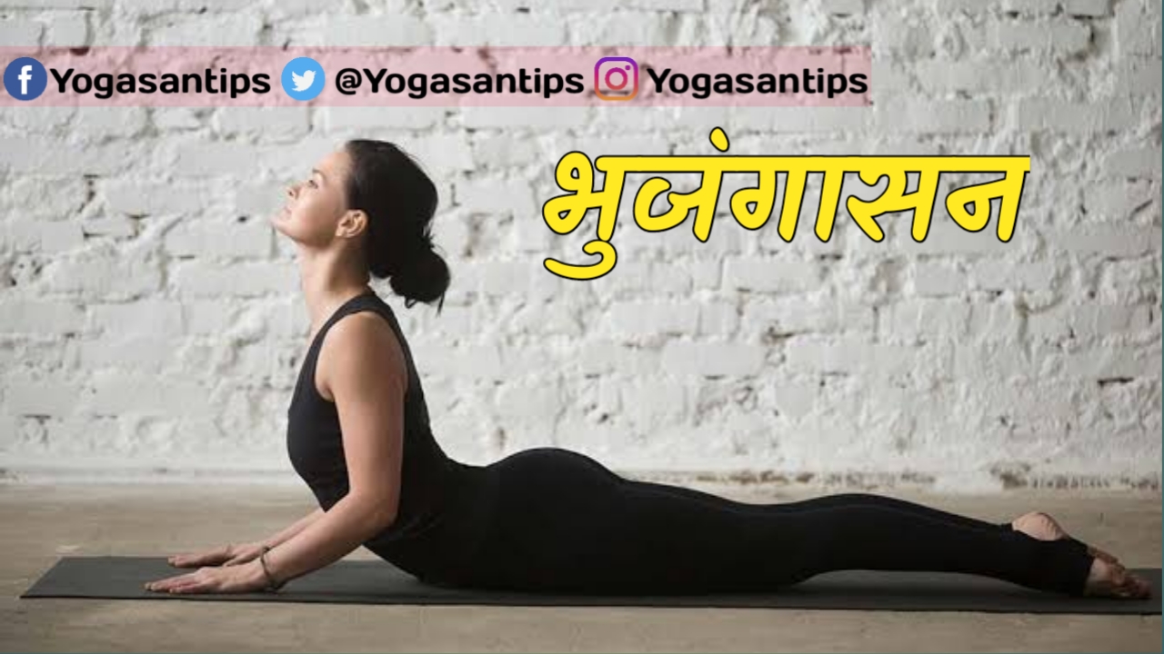 Weight Lose Tips- 5 योगासन जो तेजी से घटाते हैं वजन || 5 Yogasans Which Lose Weight