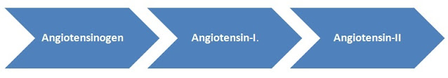 Sartan-Angiotensin