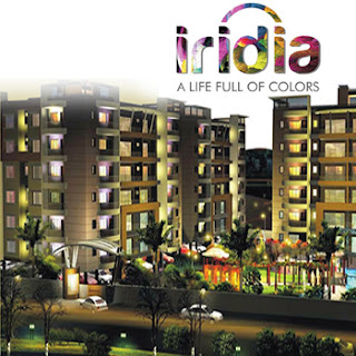 IRIDIA NOIDA