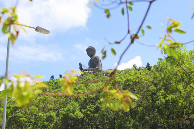 Big Buddha in Ngong Ping Village, Hong Kong