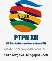 Lowongan Kerja BUMN PTPN XII (PT Perkebunan Nusantara)