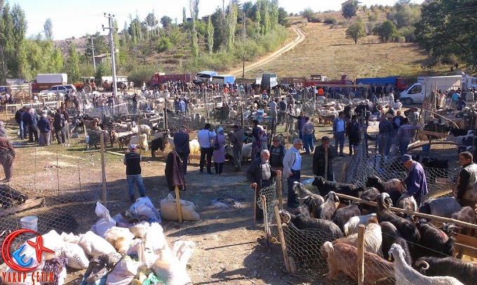 Bu Sene Kurbanlıklara ilgi Az Bozkır Hayvan Pazarı