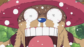 ワンピース アニメ 空島 スカイピア 167話 チョッパー Tony Tony Chopper | ONE PIECE Episode 167 Skypiea