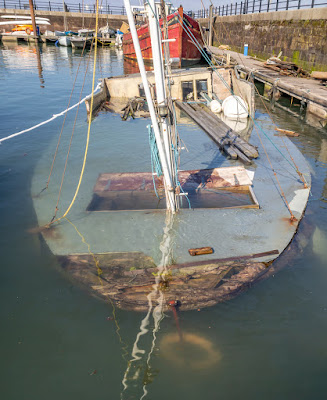 Photo of Floriage under water