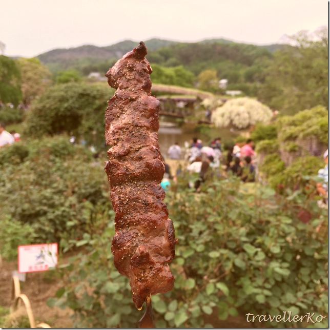 在最美的季節遇見足利紫籐花卉公園：門票交通攻略實況(下)24