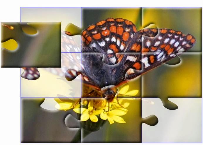  Anima't a fer puzzles!!!