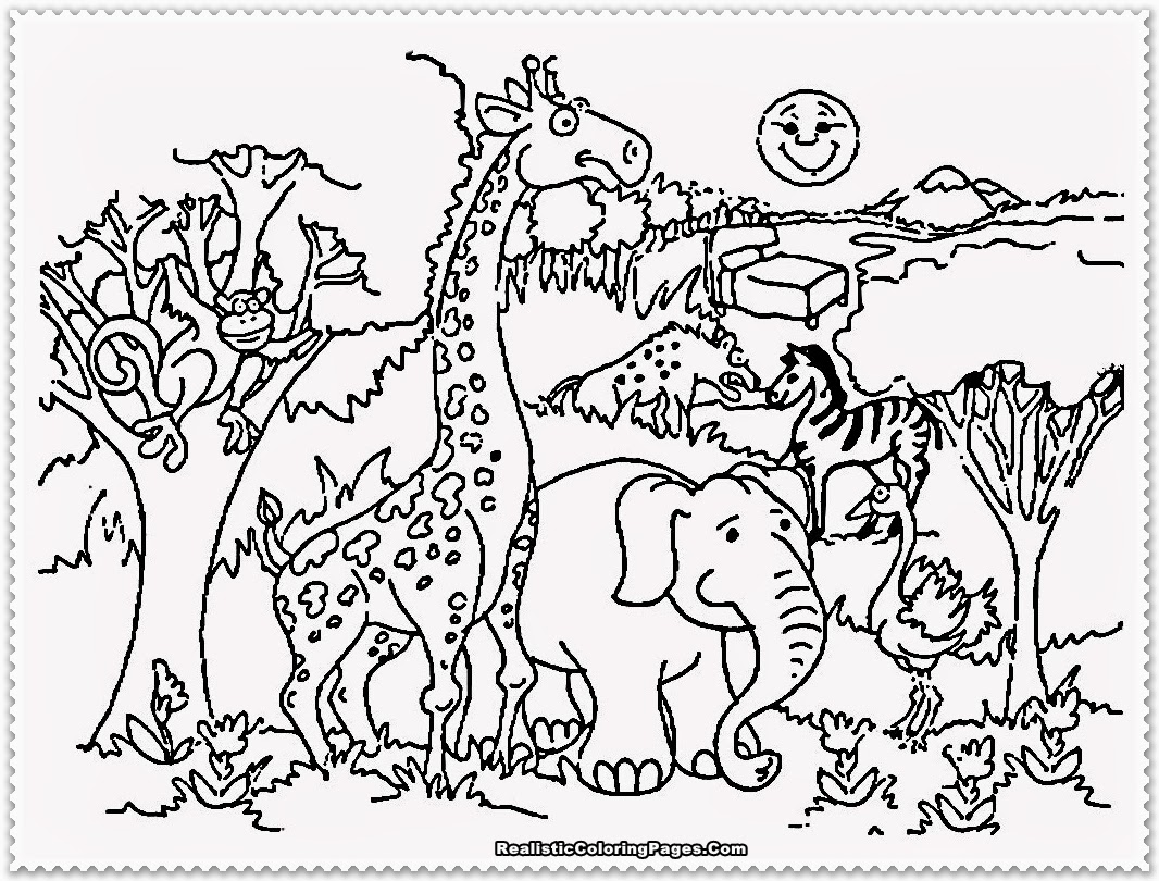zoo animal coloring pages for preschool