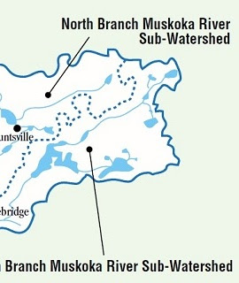 Muskoka Watershed Council schematic.