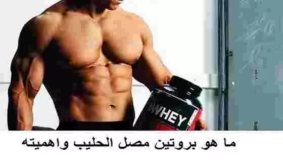 ما هو بروتين مصل الحليب واهميته لبناء العضلات ما هو بروتين مصل الحليب واهميته لبناء العضلات