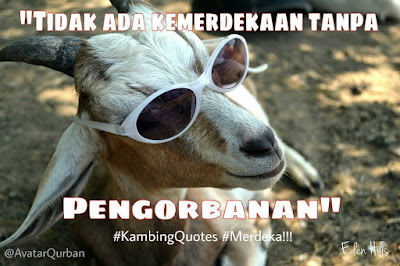 Kumpulan Meme dan Gambar Kocak Hewan Qurban yang Mengundang Tawa Terbaru  Kumpulan Meme dan Gambar Kocak Hewan Qurban yang Mengundang Tawa Terbaru 2018 