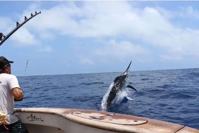 Fishing_with_Line_and_Hook