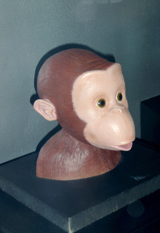 Curious George monkey head model