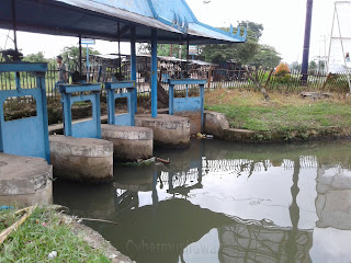 Peluang usaha ternak ikan di Musirawas dan Lubuk linggau