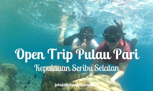 paket open trip pulau pari