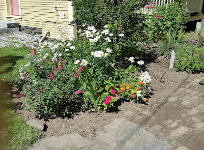 Summer flowers in Vermont. Share Now. #flowerbeds #eclecticredbarn