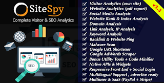 Sitespy_Visitor_&_SEO_Analytic