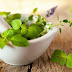 Natural Herbal ingredients To Treat Diabetes
