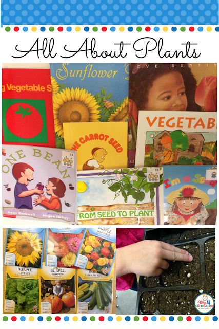 All About Plants, parts of a plant, what plants need and what plants give us.  Every thing you need to teach about plants is in this blog post from Time4kindergarten.com