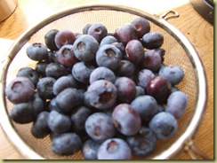 DSCF2219