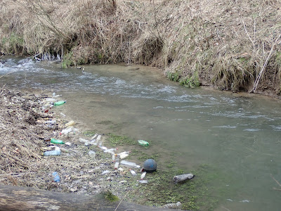 Ojcowski Park Narodowy, Dolina Sąspowska, grzyby 2019, grzyby zimowe, grzyby w Ojcowie