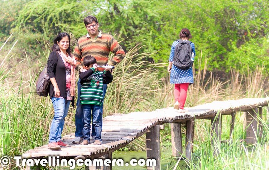 Last weekend, my nephew Nishant visited us in Noida and had a plan to visit Okhla Bird Sanctuary. We have been planning this visit for a long time and idea was to visit the sanctuary in migration period, which is mainly Dec/Jan. But this visit in March first week was also a very good experience. Let's check out this Photo Journey to experience the place and know more about it.I visited Okhla Bird Santuary last year in January with my office friends, during our photography course and that was first time when I realized that we have a very good place to explore in Noida. So on Sunday morning, we headed for the sanctuary which has an entry gate from Noida side. This gate is very close to Mahamaya Flyover. If you are coming from Kalindi Kunj, this gate will be on your left, but just before Mahamaya Flyover. It opens at 8am and closes at 5pm. We checked online and timings for Sunday were mentioned - 9am-3pm. We confirmed from the ticket counter and there is no change in timing on Sundays.This place is located on one side of Yamuna River. We took our car inside. Ticket for car is 100 Rs and it's 30 rs per person for a day. Just after entering we see these huge water patches on our left with different types of colorful birds floating around. Birds were comparatively less in the month of march but definitely you see major chunk of the water covered with birds during the month of Jan.Nishant was all set with his Terrestrial Telescope and we had to stop the car at different places, to identify the birds and a keep a record. In a hurry, we forgot to pick the book on birding which helps in identifying  birds. We saw Northern Pintails, Red Wattled Lapwings, Intermediate Egret, Kingfisher, Eurasian Wigeon, peacock, maina, cormorants, Black kites, Purple Swamphen, sun-birds and many others, which are yet to be identified by us :) .There were quite a few Black Winged Stilts around these water bodies, most of them continuously walking and picking something from water.Spot-billed Ducks were having fun during morning bath at Okhla Bird Sanctuary. There are small pond around the shoreline, where groups of birds were having fun. While writing this, I realized that I should have made some videos as well, wherein some of the birds were jumping on each other by spreading their wings. Spot-billed Ducks can also be seen in the lake at Hauz Khas Village in Delhi.Sorry for bad quality of photographs, as all of these are cropped versions from long distance shots. We noticed few Kingfishers around us and could capture one of them sitting on the long grass around water ponds. The whole Eco-system inside Okhla Bird Sanctuary kept us involved through one or other way. After a while we parked our car on the other extreme. There is a huge tree with few rooms inside the sanctuary, where we could park the car. From this point, we had two options to reach two different watch-towers.We got down form the main road inside the bird sanctuary and had to cross a bridge made up of bamboo. Above photograph - Nishant crossing the same bridge I just mentioned. It's quite long and interesting spot to pose. Now onwards, we had to walk till the watchtower through a narrow path surrounded by high grass with beautiful sounds of birds. There were lot of small and active birds around this grassland. We were keeping closer eye around us and then we experienced something unexpected.One of us noticed a small antelope deep inside the grass and soon after he came out to the region where all of us could see him. He kept looking at us for a long time and suddenly a group of 10 antelopes appeared in front of us. This was amazing. We hadn't expected this :). After spending some time around this place, we moved towards the watchtower. The group of antelopes were walking parallel to us and as we climbed to the top of watch-tower, they started crossing the water body. At this point of time, we were not sure if they would be able to cross the shallow water or not. There were few birds floating on this water, so we were suspecting that water would be deep, but probably they were more experiences and finally reached the other side. From their walk, it seemed quite difficult.We spent around 20 minutes on the watchtower and made best use Terrestrial telescope. Nishant was carrying it all the time and made sure that everyone gets a turn when he noticed something worth viewing/experiencing. We noticed that there is a specific etiquette to be followed when using the watch-tower. As we approached the watch-tower, we could see that it was occupied. But as we reached it the people who were using the watch-tower climbed down so that we could also experience it. We didn't have to ask for it and we also followed the same protocol.While walking back towards the car, we heard a very strange sound which was coming from the marshland with high grass. The sound was very different and we started imitating the sound :). It was Purple Swamphen which usually makes loud, quick, bleating and hooting calls. These birds are considered as noisy during their breeding season. Purple Swamphen can fly long distances which doesn't match with it's size and the way this bird behaves on ground.This visit was much more rewarding than we had anticipated. Even though most of the migratory birds had flown away by this time, this was a blessing in disguise because we were more aware of the other inhabitants of the sanctuary. For example, the resident birds, of which also a vast variety is present.