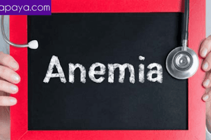 Identify The Characteristics Of The Disease Anemia