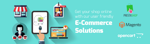 Affordable E- commerce web site designing company in New Delhi, E-commerce Web development services at best price