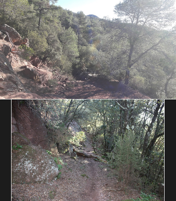 MOLA D'ESTATS - LES 3 CREUS - TAULA DELS QUATRE BATLLES, camí de La Bartra