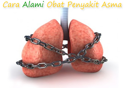 Obat Sakit Asma Alami