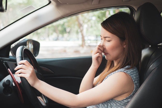 eliminar olores coches lavadero Zaragoza