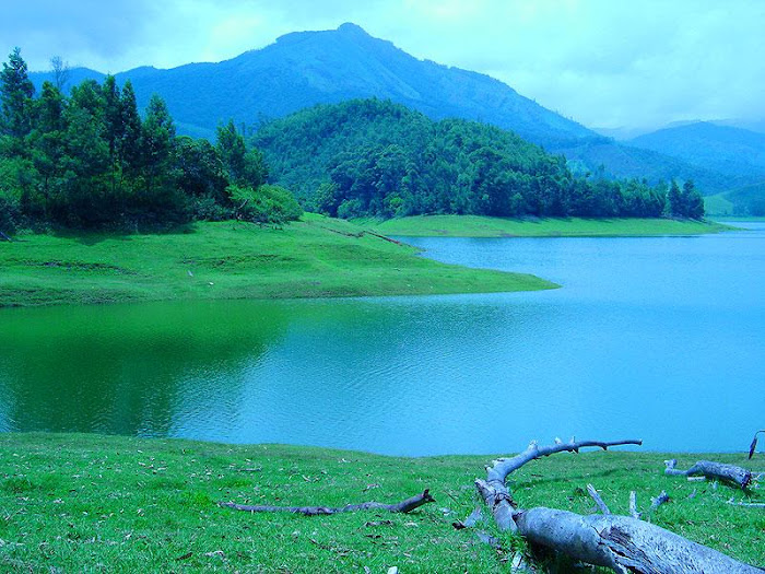 Munnar Hill Station Kerala - Beautiful Photos Part II...