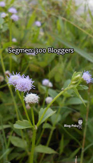 Segmen: 300 bloggers