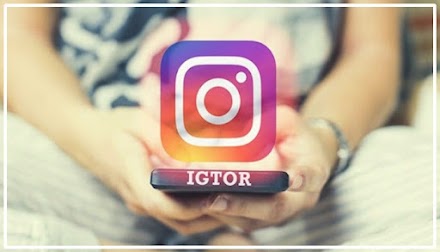 IGTOR - Followers/Story/Reel Views Free (igtor.com)