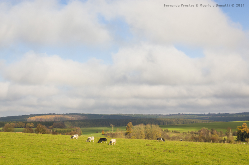 paisagem na bélgica