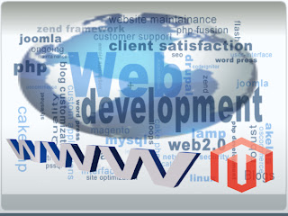 Magento Website Development