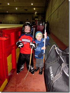 hockeystix